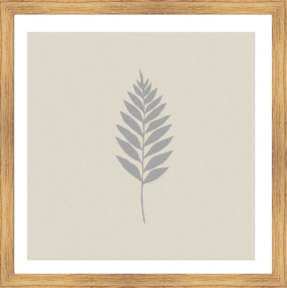 Oak Foil