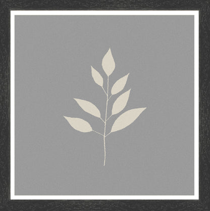 Black Grain