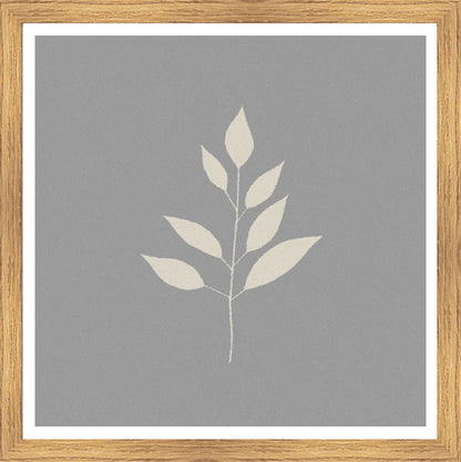 Oak Foil
