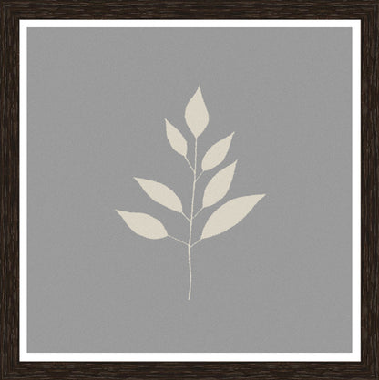 Wenge