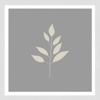White Grain