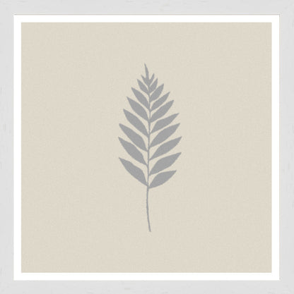 White Grain