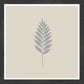 Black Grain