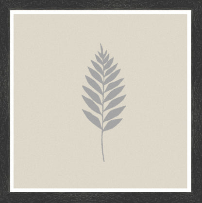Black Grain