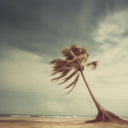 Offshore breeze