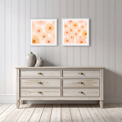 Gerberas Pattern Print
