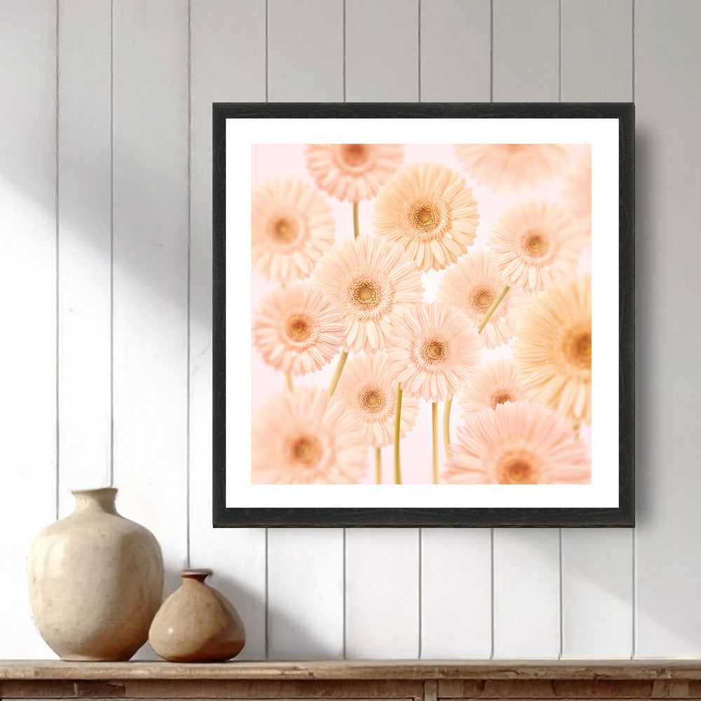 Gerberas Pattern Print