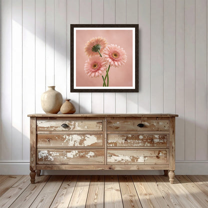 Pink Gerberas Flowers Print