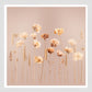 White Grain