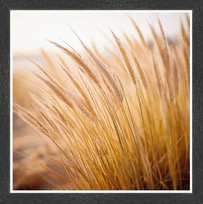 Black Grain