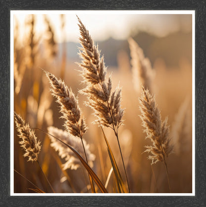 Black Grain