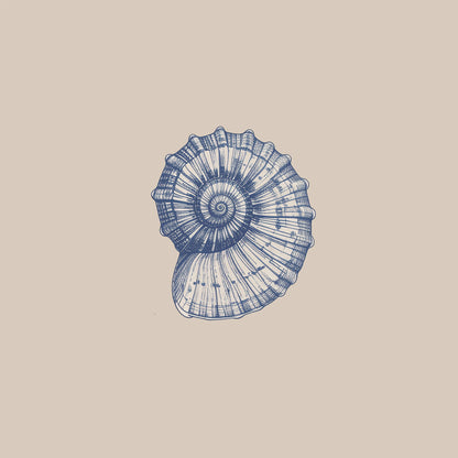Periwinkle Shell print