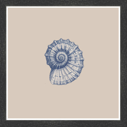 Black Grain