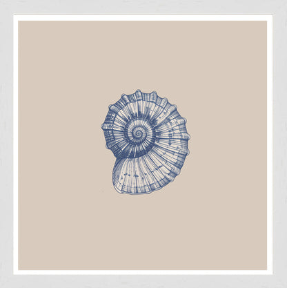 White Grain
