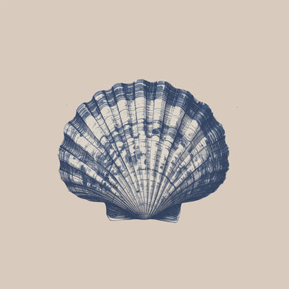 Shell print