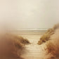 Walks on a windswept beach