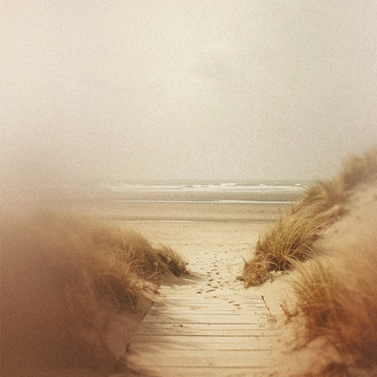 Walks on a windswept beach