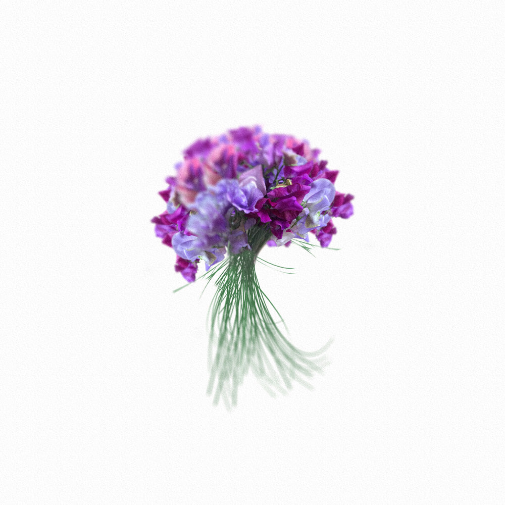 Sweetest Sweet Peas