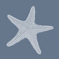 Starfish print