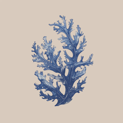 Seaweed print