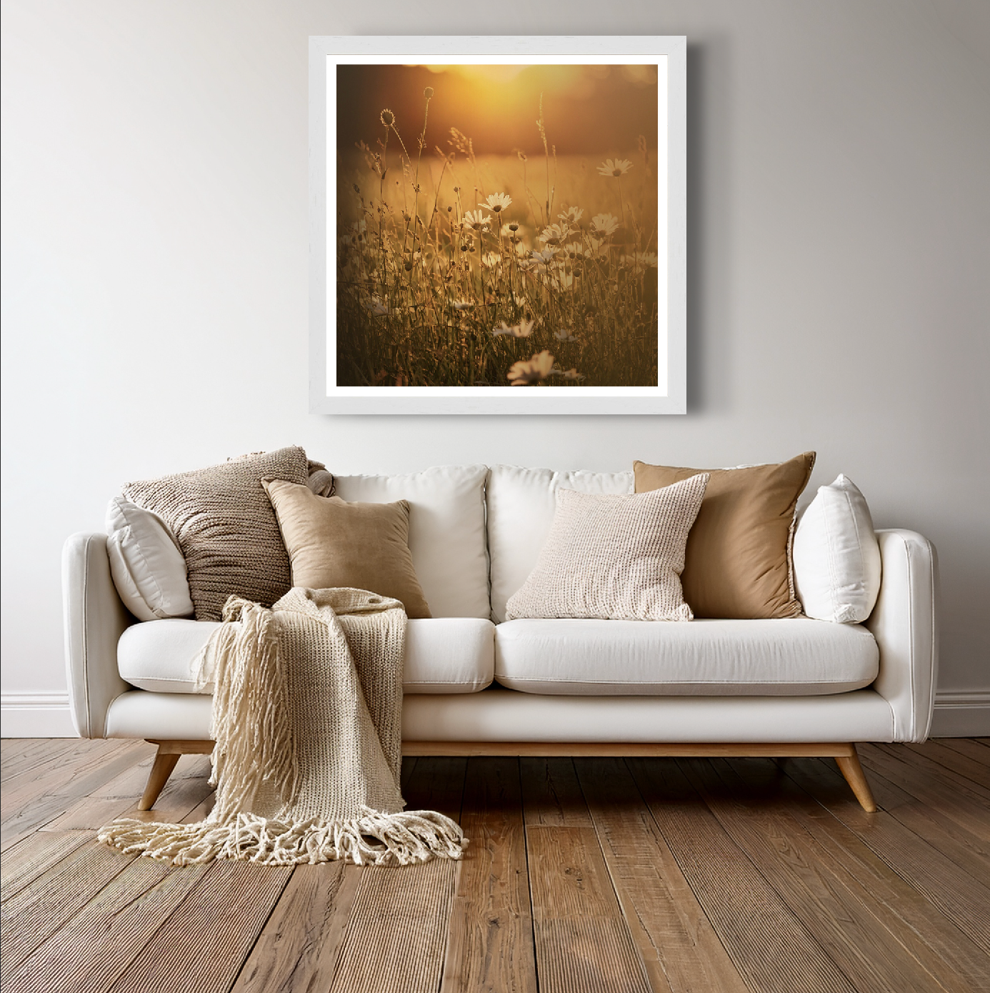 Fields of Daisies