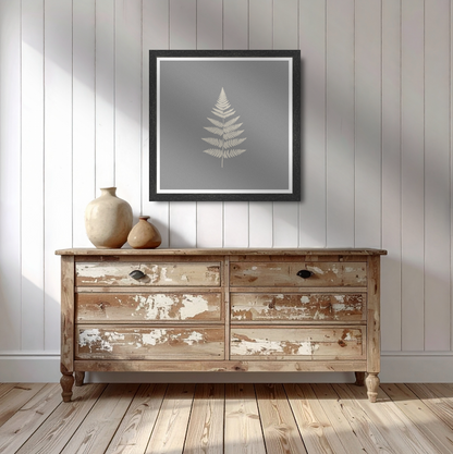 Fern on grey