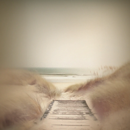 Boardwalk to the Beach Canvas Print