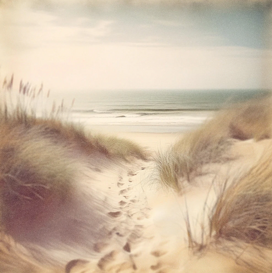 Footsteps in the Sand Canvas Print