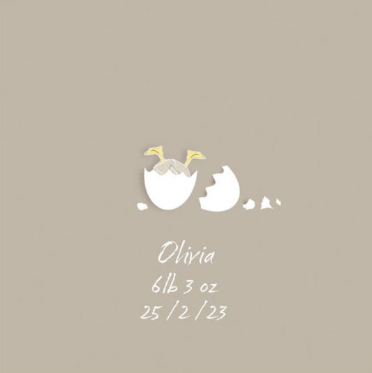 Baby Chick Personalised Canvas Print