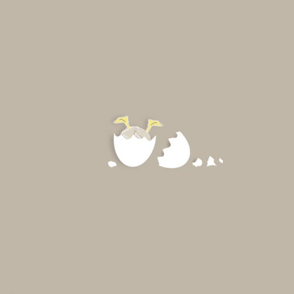 Baby Chick Personalised Canvas Print