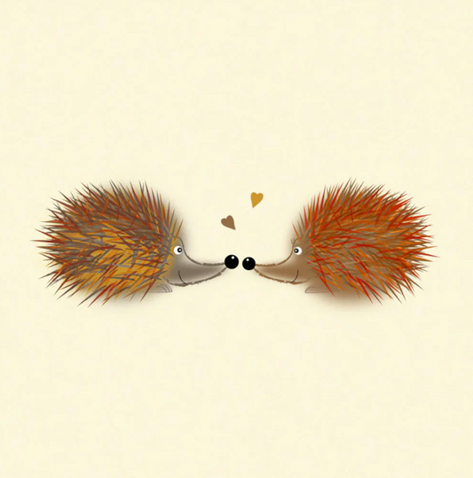 Pair of Cute Hedgehogs Canvas Print