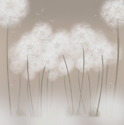 Floating Dandelions Canvas Print