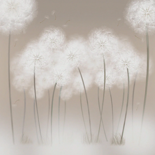 Floating Dandelions Canvas Print