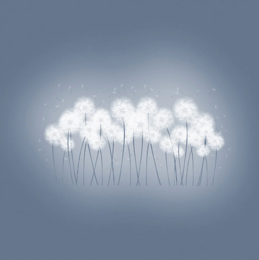 Dandelions Canvas Print