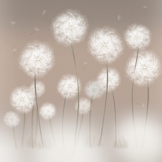 Dandelions and Fairies Canvas Print