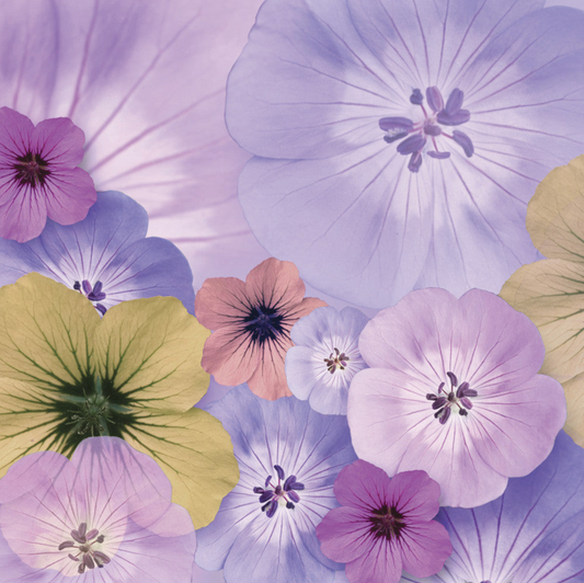 Mixed Flowers Handwritten Card