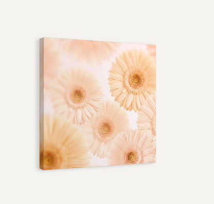 Gerbera Garden Canvas Print
