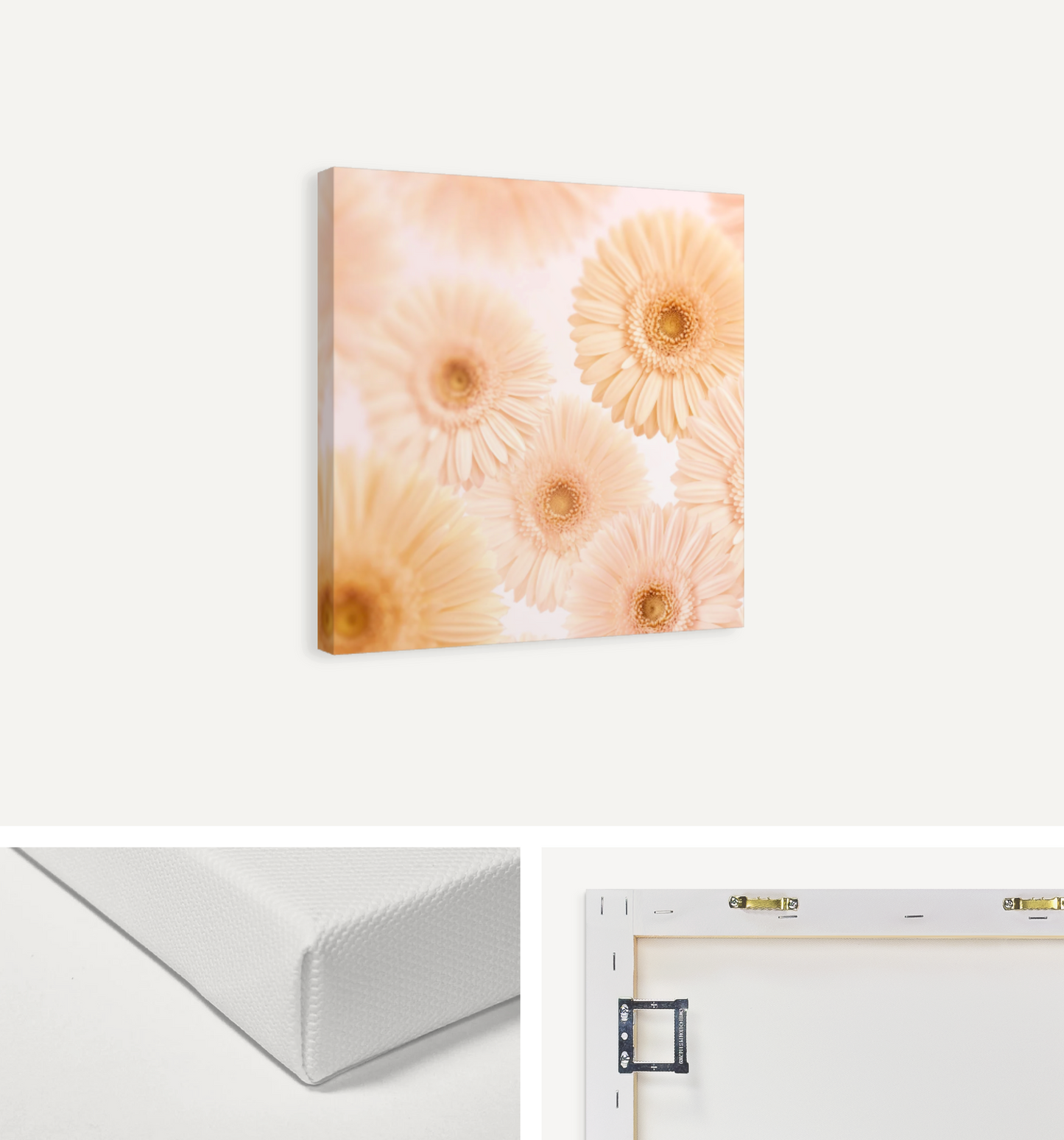 Gerbera Garden Canvas Print