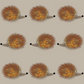 Hedgehog Jog print