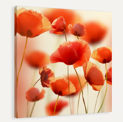 Poppy Fields Canvas Print