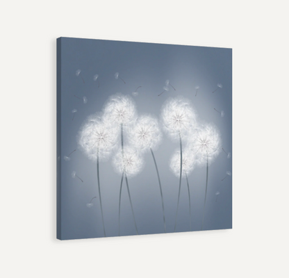 Dandelions in Blue Canvas Print