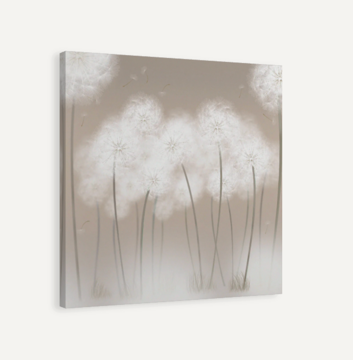 Floating Dandelions Canvas Print