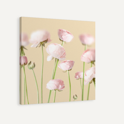 Pink Peonies on Yellow Canvas Print