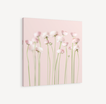 Pink Peonies Canvas Print