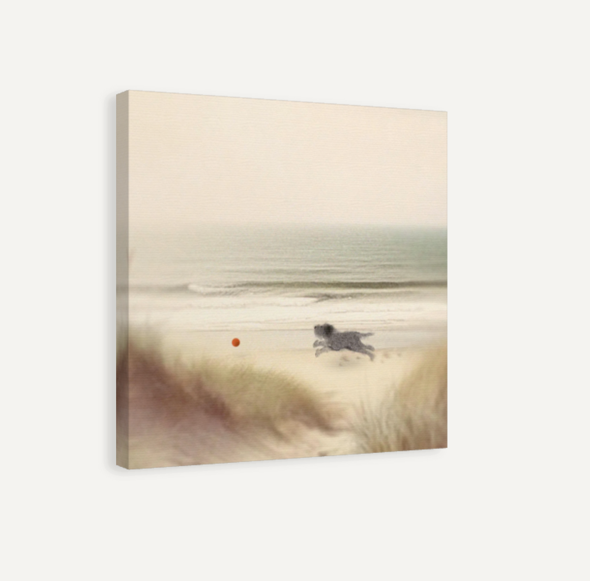 Little Dog at the Beach Canvas Print