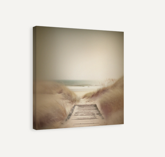 Boardwalk to the Beach Canvas Print