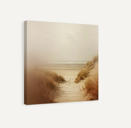 Beach Walk Canvas Print