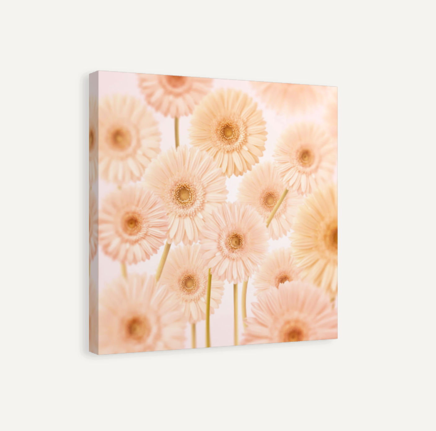 Gerberas Pattern Canvas Print