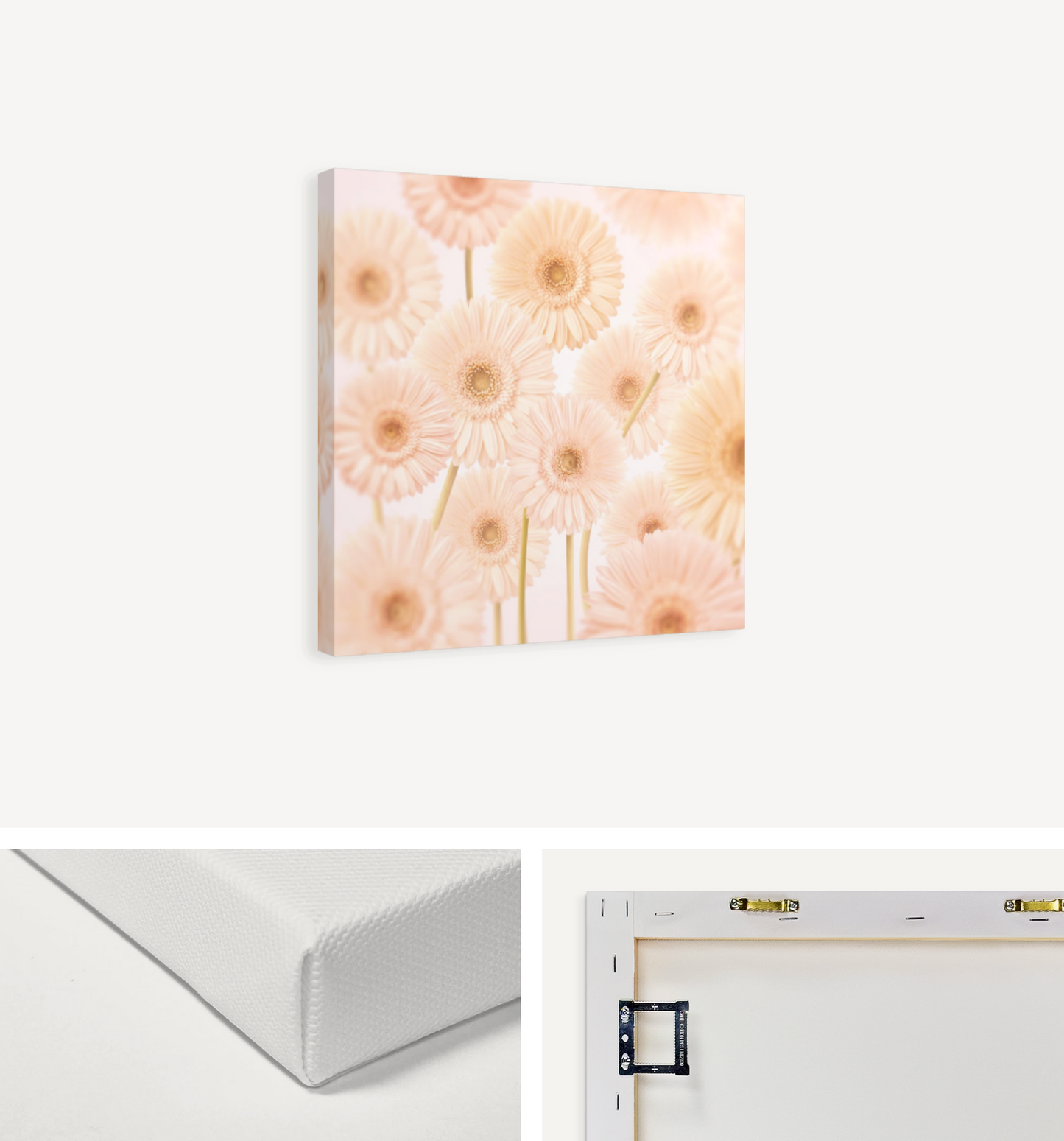 Gerberas Pattern Canvas Print