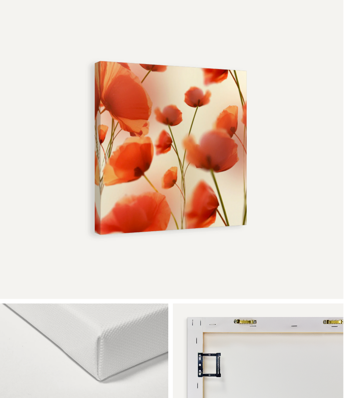 Soft Red Poppies Canvas Print
